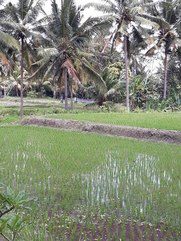 Umah Dangin Guest House Ubud Exterior foto